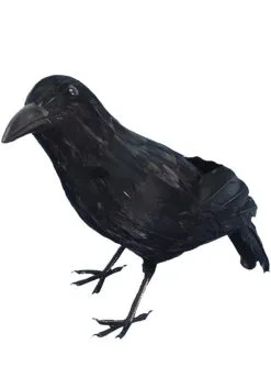 Funidelia Angstaanjagende Kraai