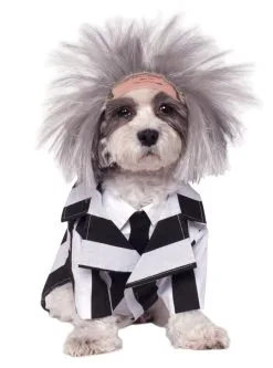 Funidelia Beetlejuice Kostuum Voor Honden