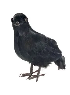 Funidelia Griezelige Raaf