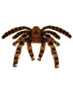 Funidelia Tarantula Vervormbaar 65 Cm