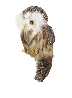 Funidelia Uil Met Veren