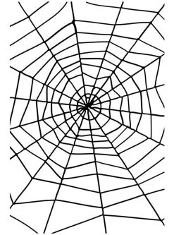 Funidelia Zwart Spinnenweb